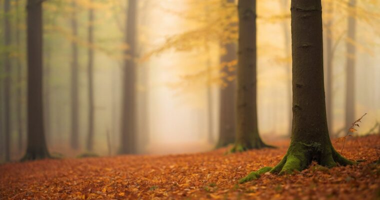Verken de natuurpracht van Sauerland